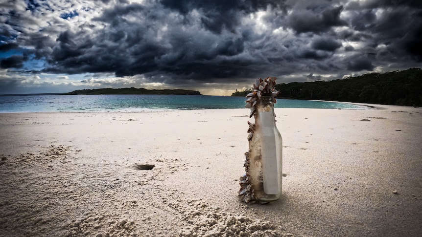 A bottle sites on the beach with mussels attached to it and a dark purple sky behind.