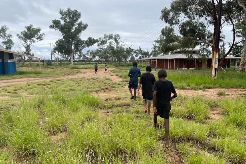 three young boys walking through long grass. they are wearing black shirts and black shorts
