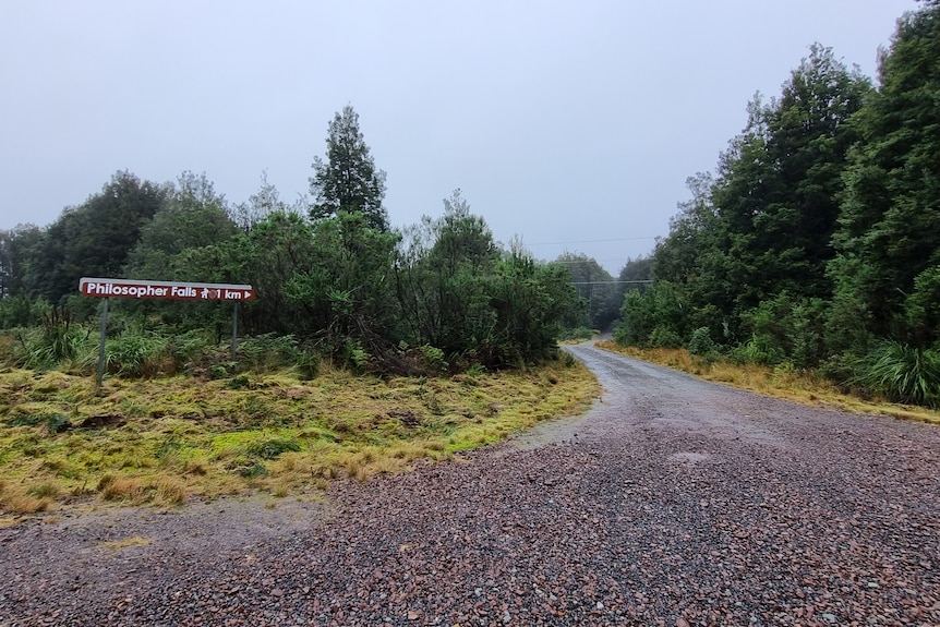 Signage to Philosopher Falls trail next to bush road.