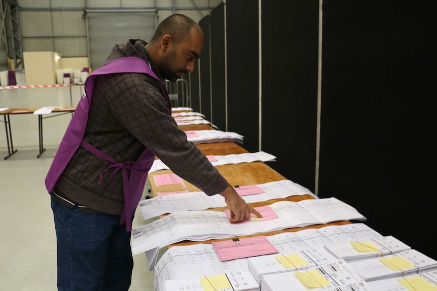 Australian Electoral Commission representative examines Senate ballot papers