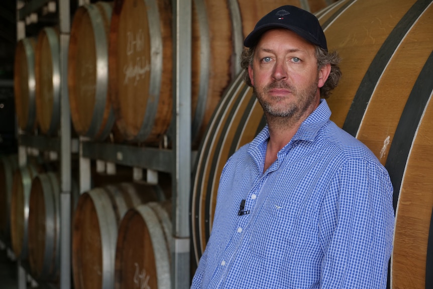 A man wearing a cap and shirt, standing against rows of oak wine barrels.