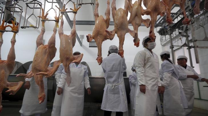 Workers dressed in protective gear are shown behind a row of hanging dead chickens.