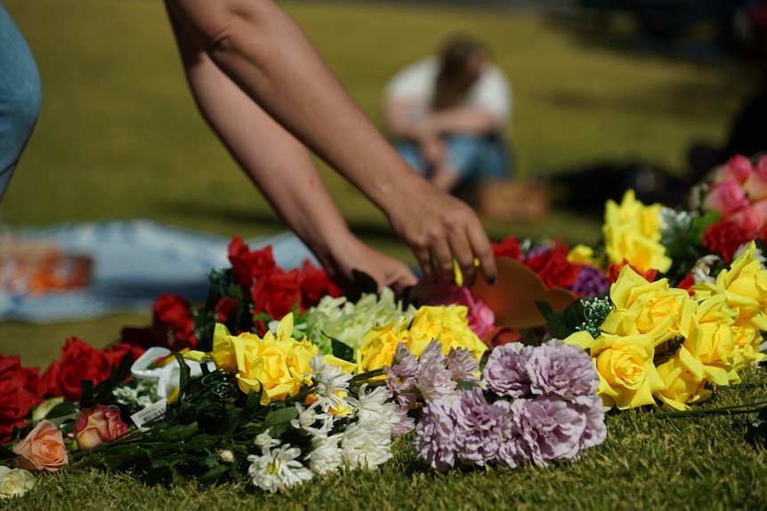 Two hands holding cards place the cards amid a number of bunches of flowers on some grass.