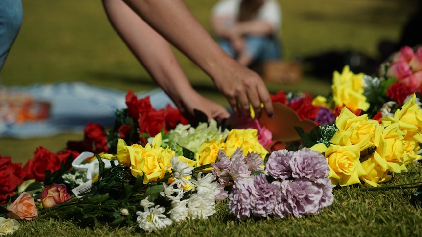 Two hands holding cards place the cards amid a number of bunches of flowers on some grass.