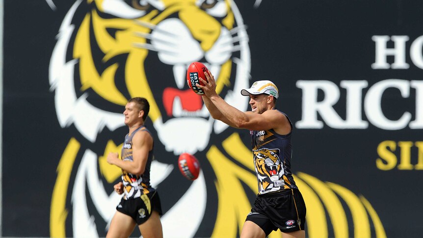 Tigers players train at Punt Road