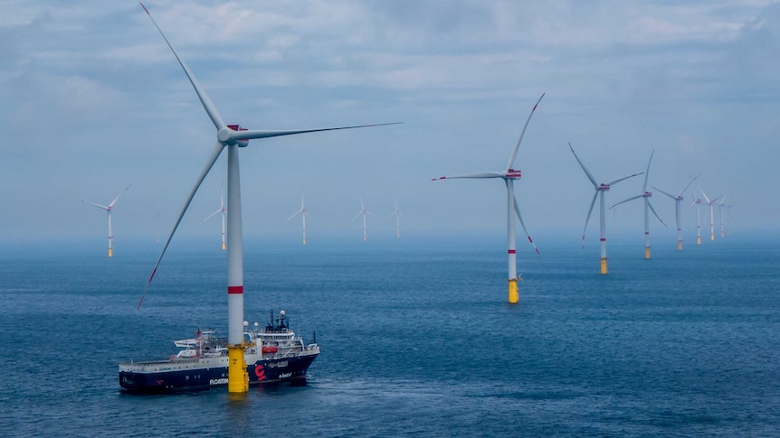 Veja Mate wind farm in the sea off Germany.