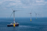 Veja Mate wind farm in Germany