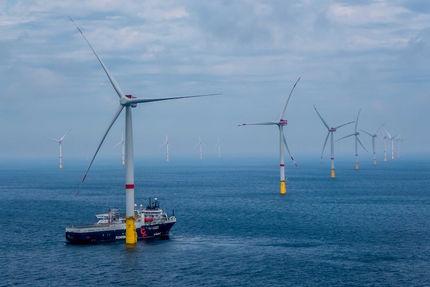 A huge ship is dwarfed by one of dozens of massive turbines at an offshore windfarm.