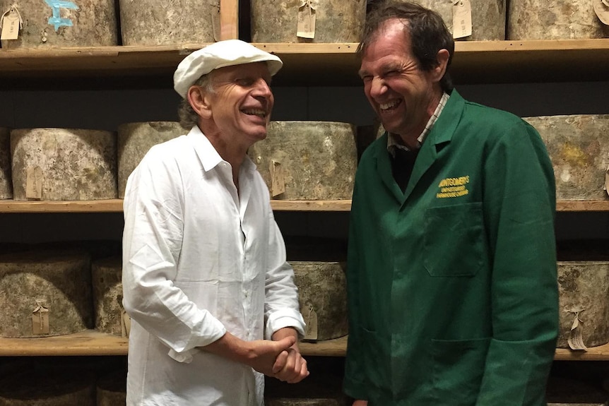 A man in a white jacket with a white hat and a man wearing a green jacket laugh together in a room filled with cheese wheels.