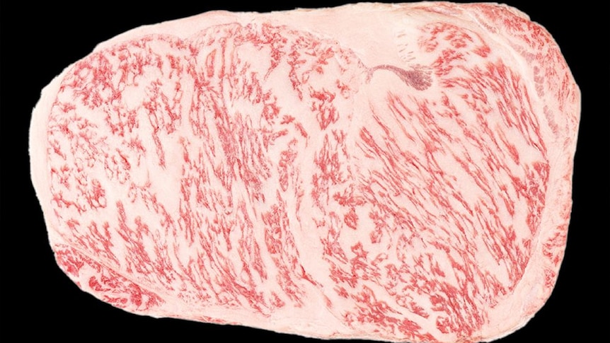 Close up of Wagyu steak