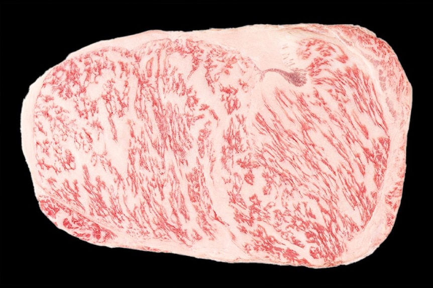 Close up of Wagyu steak