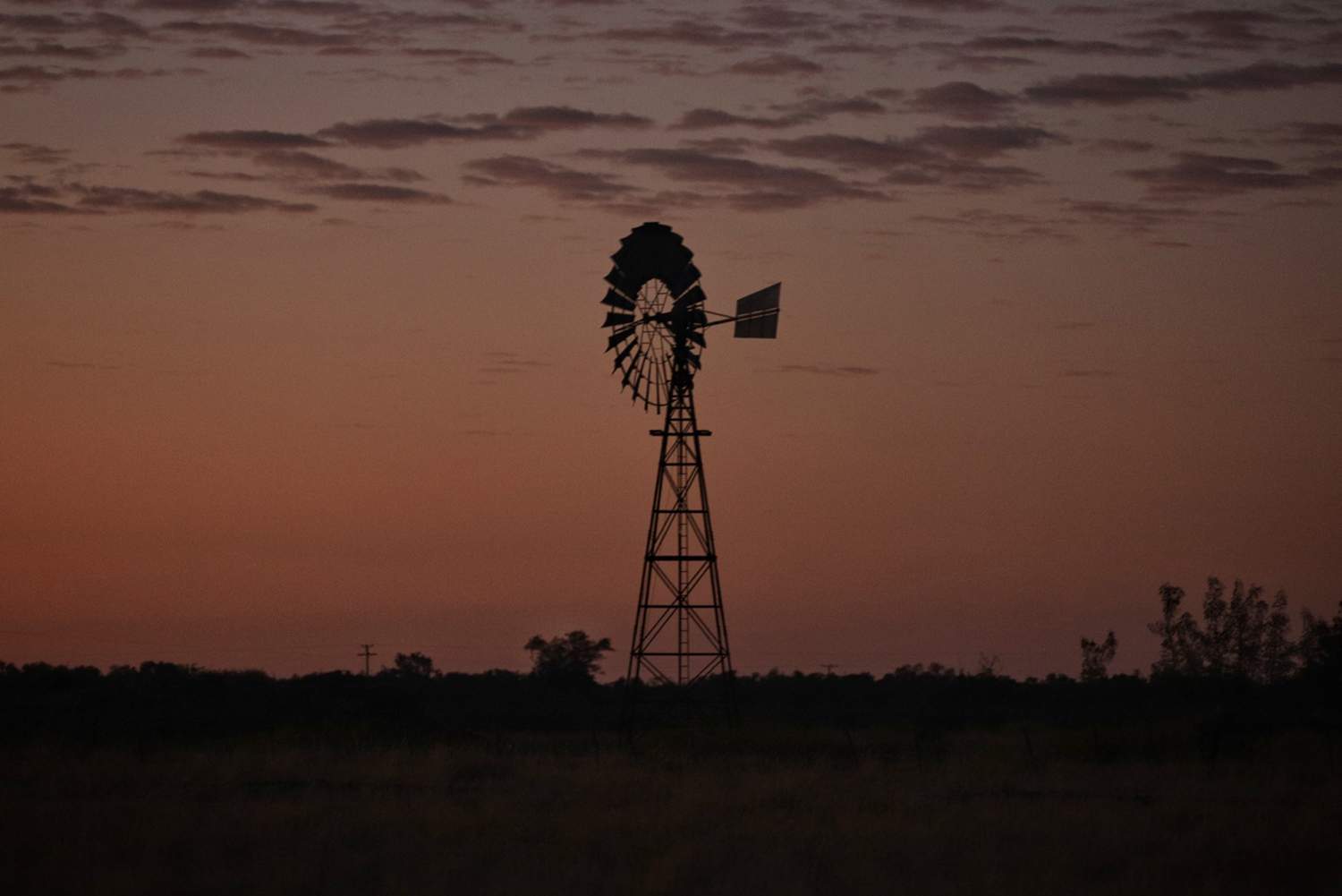 Windmill at sunrise in paddock.