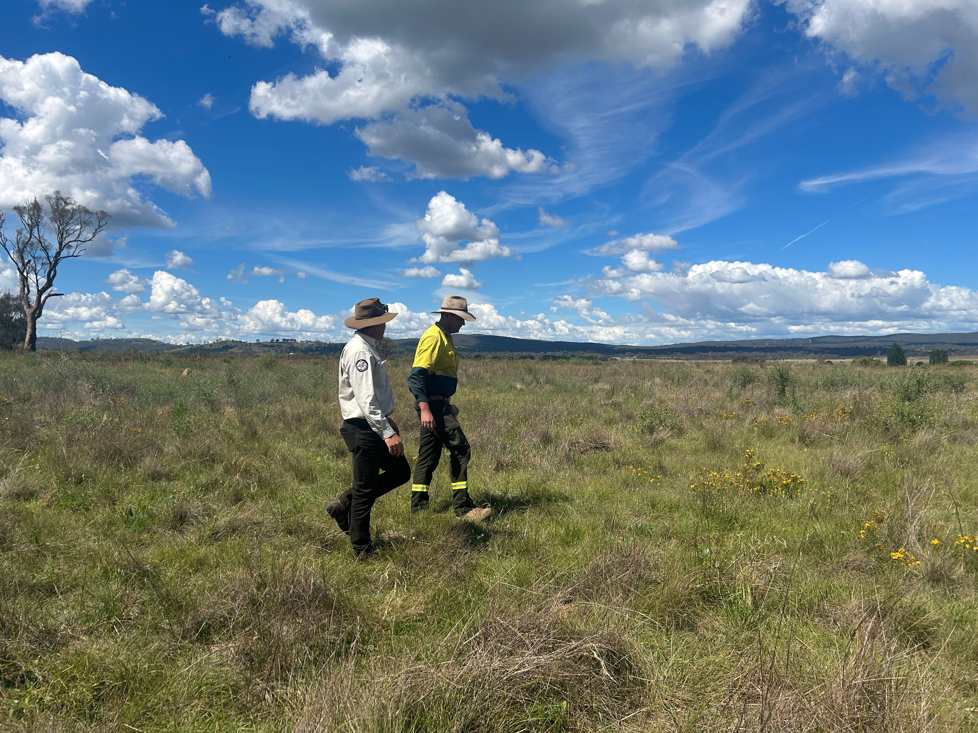 Two men walk through grasslands on a sunny day
