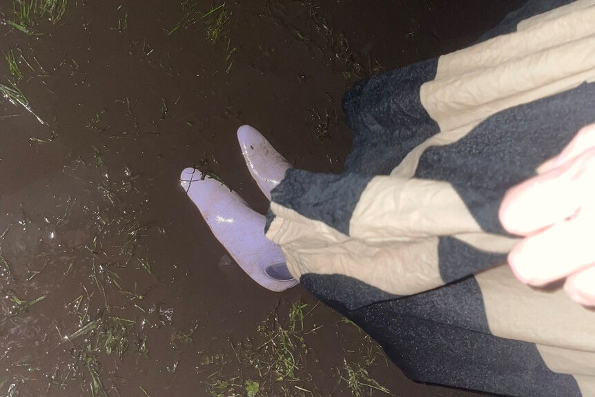 Bottes en caoutchouc violettes sur pieds debout dans l'herbe boueuse la nuit.