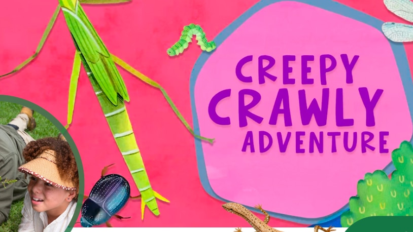 Graphic with text 'Creepy Crawly Adventure.'