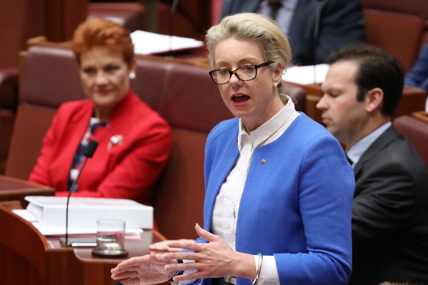 McKenzie is on her feet speaking in the Senate Chamber wearing a light blue jacket and dark rimmed glasses.