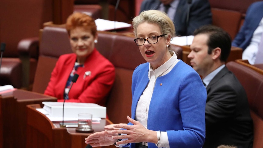 McKenzie is on her feet speaking in the Senate Chamber wearing a light blue jacket and dark rimmed glasses.