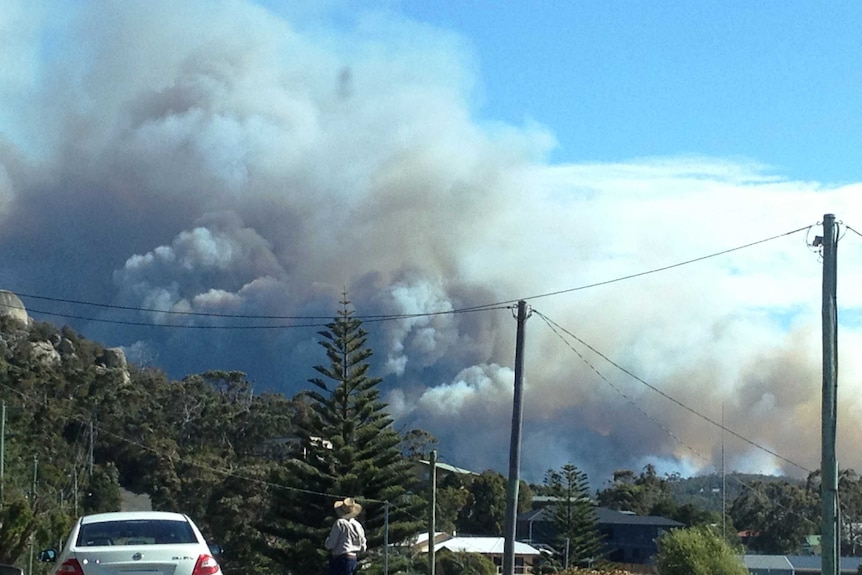 Photo of bushfire from Tasman Highway