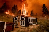 The Tamarack Fire burns behind a greenhouse in the Markleeville community of Alpine County, California.