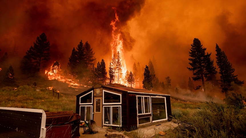 The Tamarack Fire burns behind a greenhouse in the Markleeville community of Alpine County, California.
