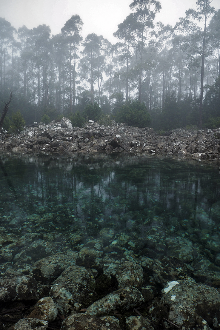 Clear water in Mount Wellington tarn
