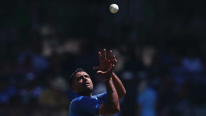 A man wearing blue catches a white cricket ball with both hands above his head