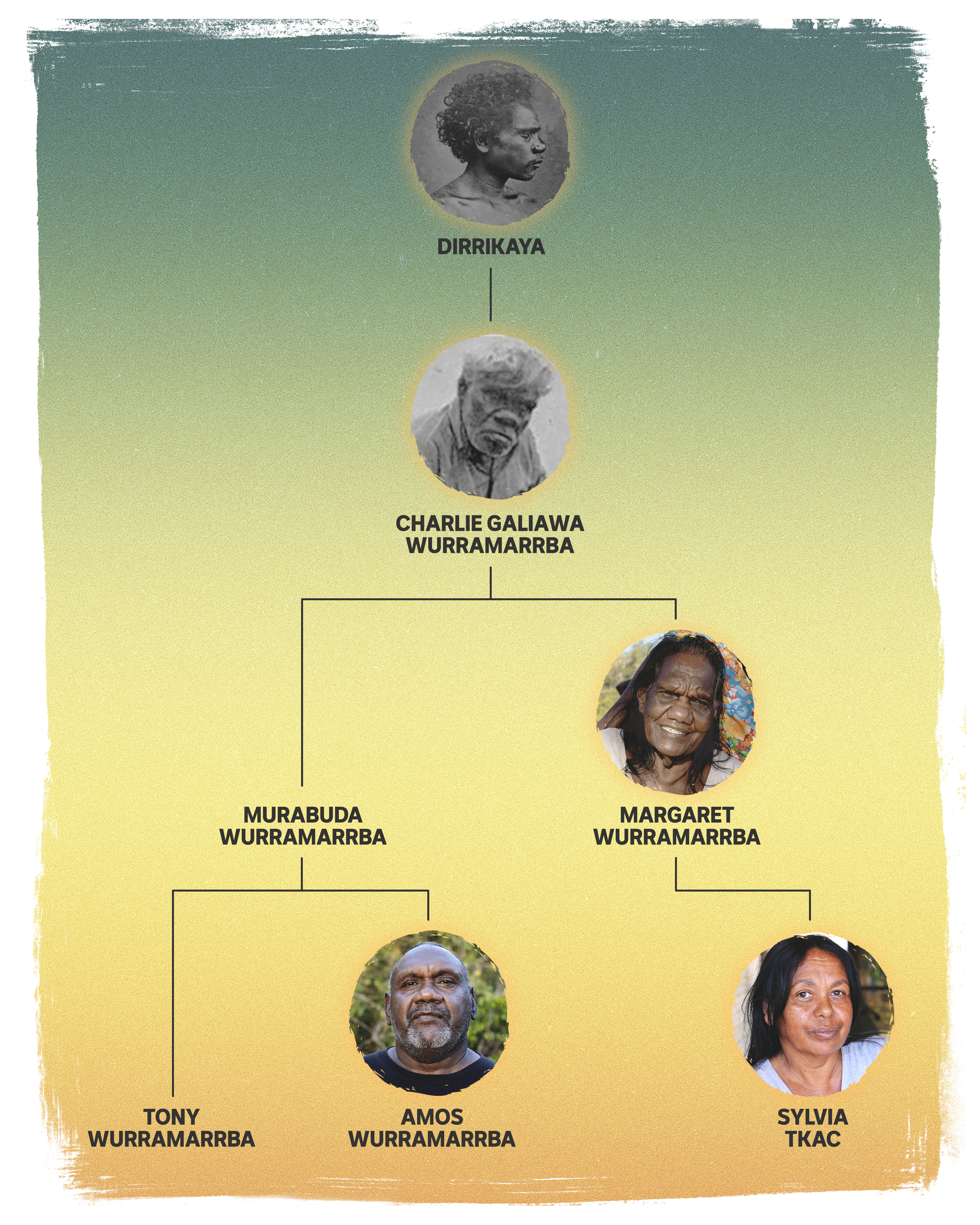 An illustration of Dirrikaya's family tree with Dirrikaya on top
