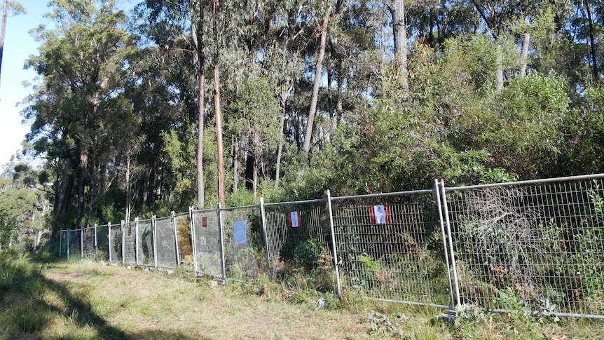 bushland with a fence in front of it