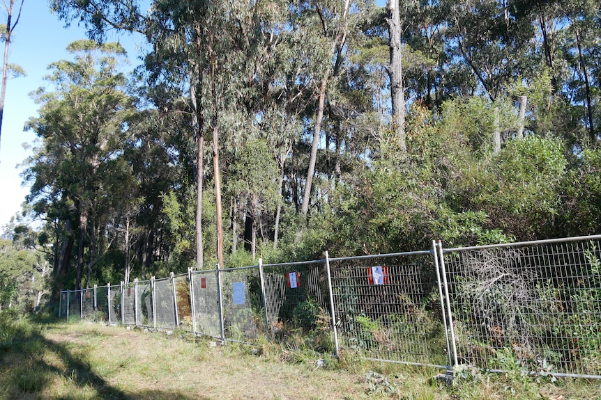 Bushland con una cerca temporal en frente