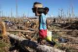 The devastation from Typhoon Bopha