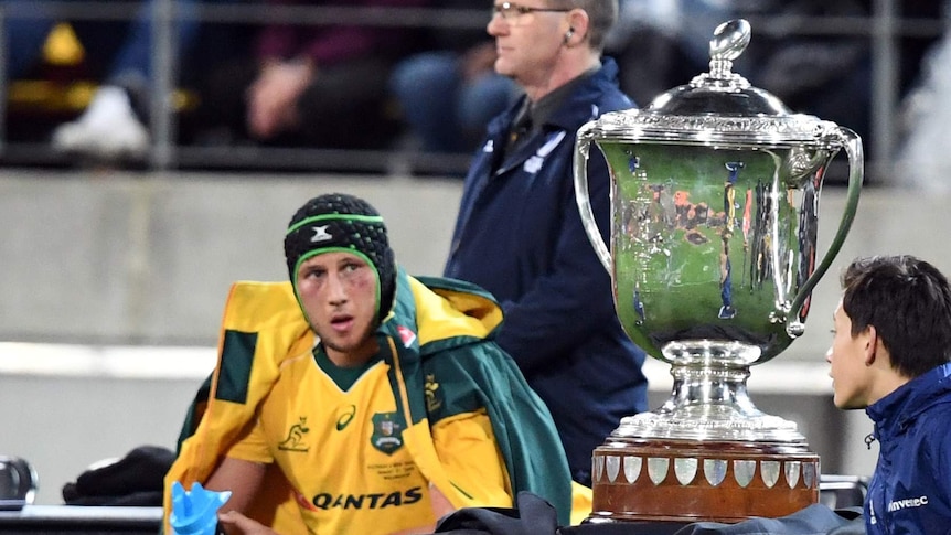 Adam Coleman eyes off the prize that is the Bledisloe Cup in Wellington last year.
