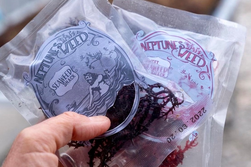 A close up of seaweed based products in plastic packaging. 