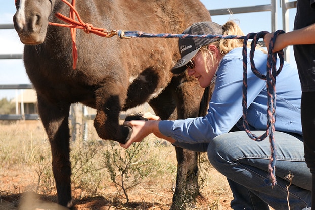 A woman with blonde hair crouching down to check the hoof of a horse.