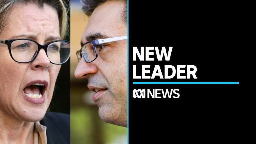 New WA Liberal leader declares war on factional powerbrokers