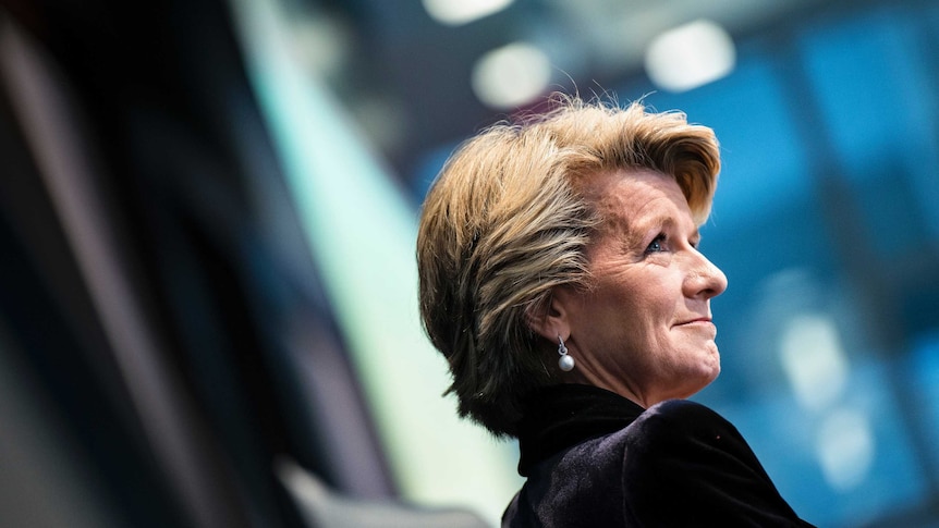 Foreign Minister Julie Bishop