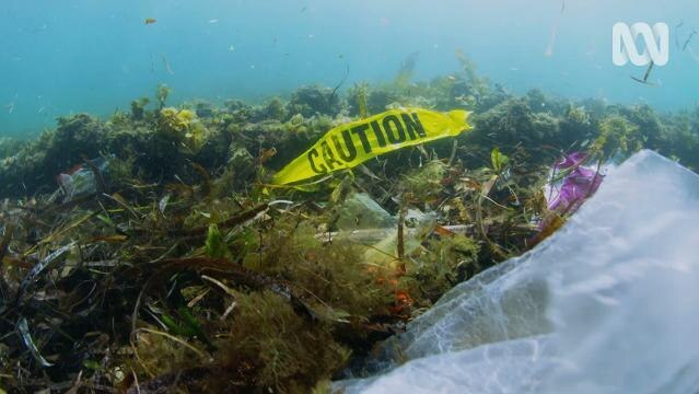 Plastic rubbish underwater mixed amongst seaweed