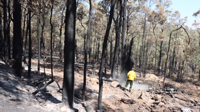 Firefighter mops up east of Waroona near a camp ground destroyed in the fire on Sunday.