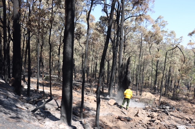 Firefighter mops up east of Waroona near a camp ground destroyed in the fire on Sunday.