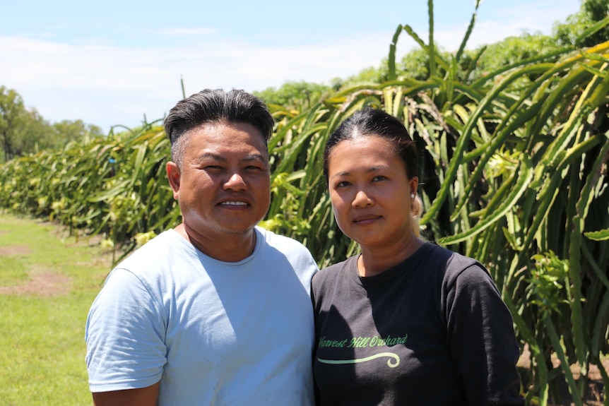 Top End dragon fruit farmer Vuong Nguien and wife Lisa stand in the paddock with vines in the background.