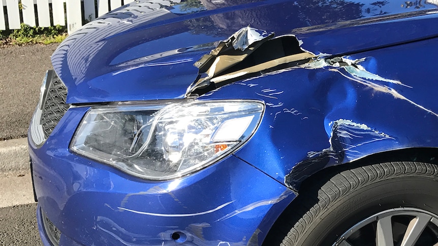 A police car damaged during an alleged 'evade police' incident.