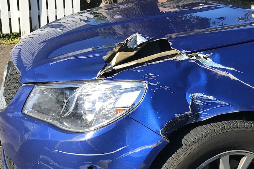 A police car damaged during an alleged 'evade police' incident.
