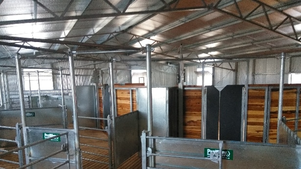 A new shearing shed in New South Wales