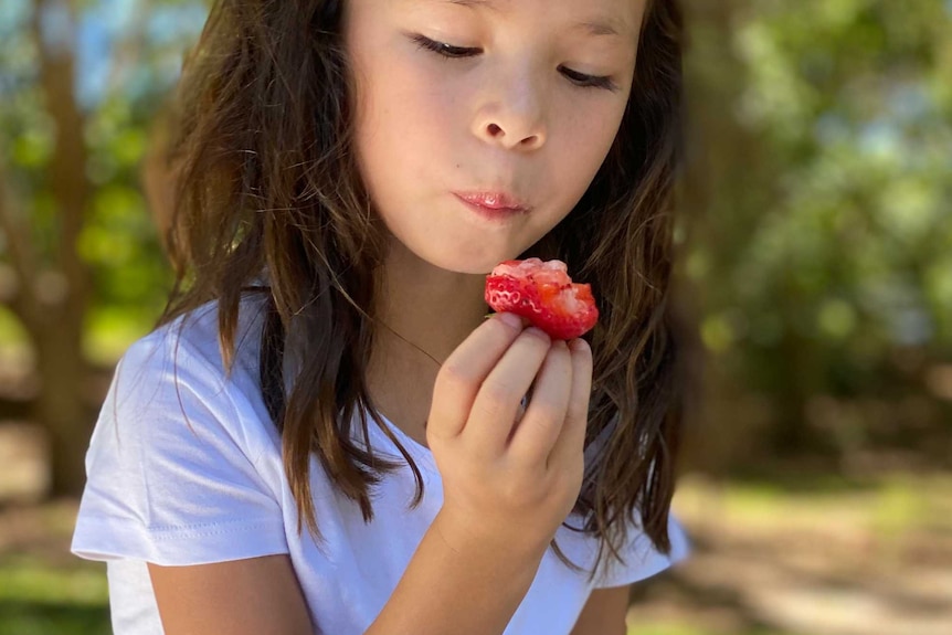 Young girl sits in the park looking at the remains of a large red strawberry she is eating