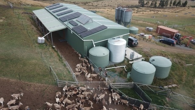Solar panels on the roof of the Leap Farm Dairy at Copping
