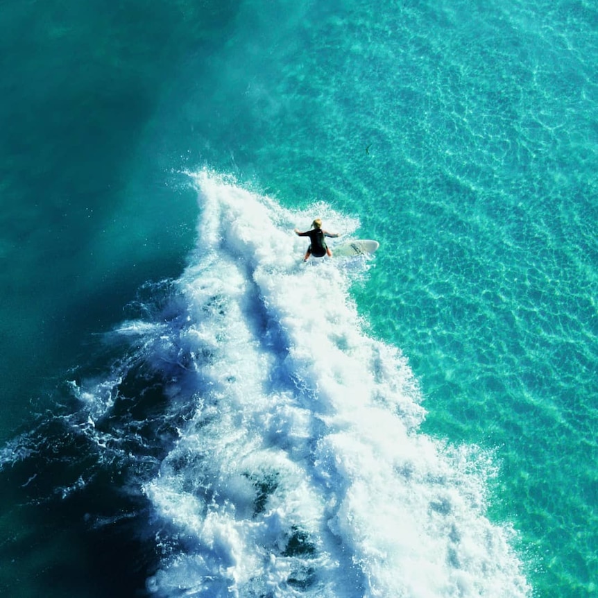 A drone photo of a surfer riding a wave.