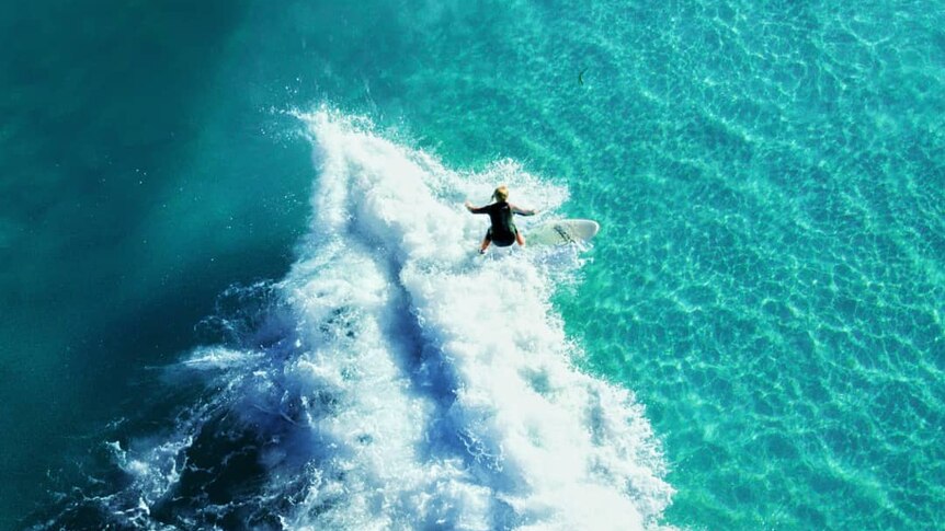 A drone photo of a surfer riding a wave.