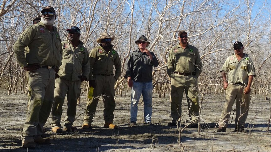 A group of men standing amongst a forest of dead and dying mangrove trees.