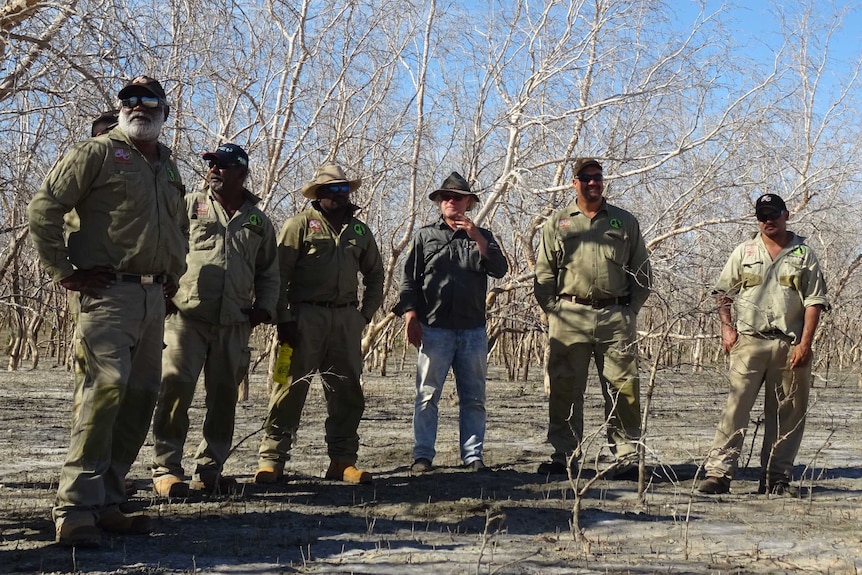 A group of men standing amongst a forest of dead and dying mangrove trees.