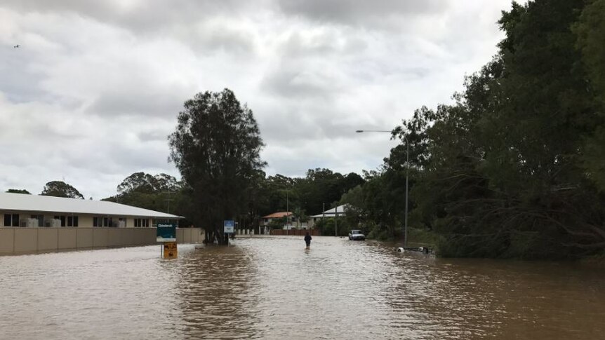 A woman attempts to wade through floodwaters on residential street near Chinderah