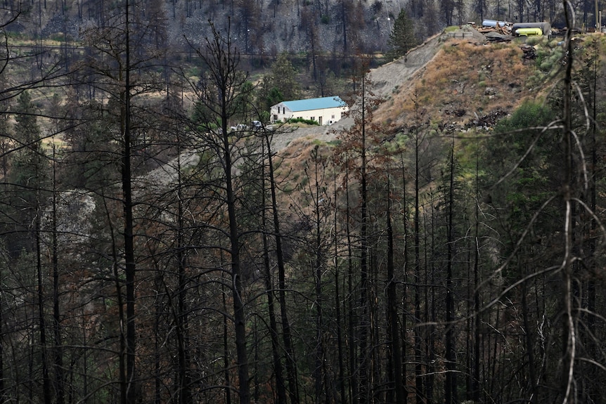 A small white brick building with a blue roof sits on the edge of a mountainside surrounded by charred black trees.
